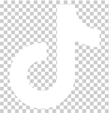 TikTok icon